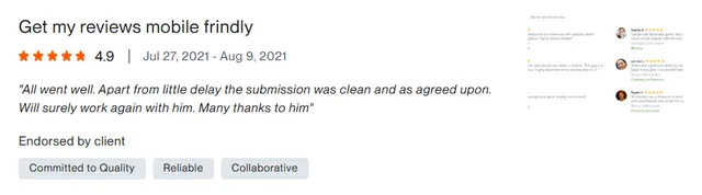Upwork client review – 4.9 stars – Web & platforms