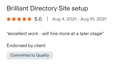 Upwork client review – 5 stars – Web & platforms